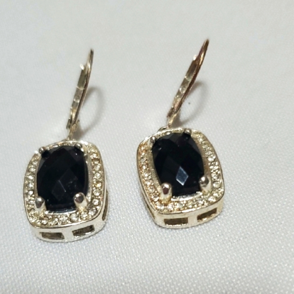 Elegant Black and Silver  Leave her back Earrings
